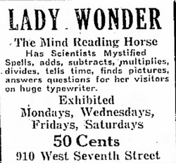 lady wonder psychic horse ad