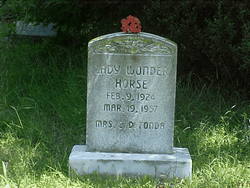 lady wonder grave stone