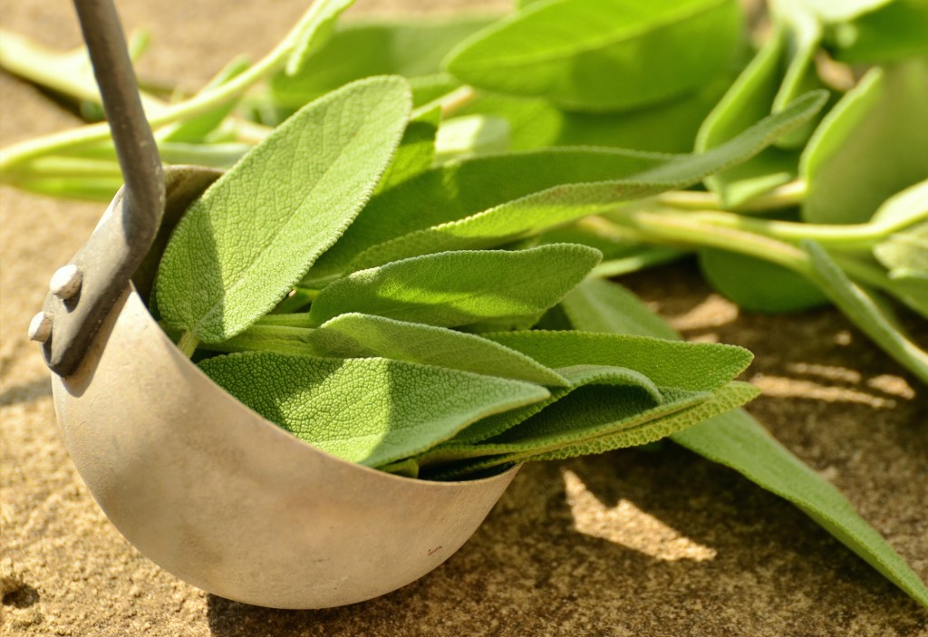 5 Powerful Healing Benefits of Burning Sage