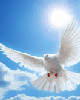 Psychic Grace has 40 years experience with psychic and clairvoyant dreams