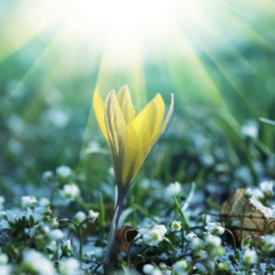 Let Help You With My Shamanistic Skills - Let Us Use Universal Energy To Create The Life You Want