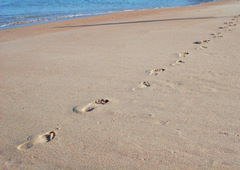 Live Psychic Love Chat Online